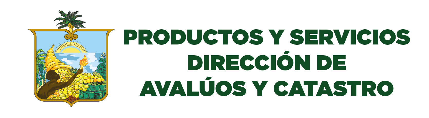 Servicio Dir Avaluos