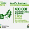 infografia-25