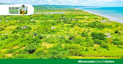 Inspección en el recinto El Edén en la parroquia Camarones