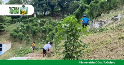 Alcaldía realiza mantenimiento a Cementerio General