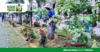 Plan preventivo ante la temporada invernal